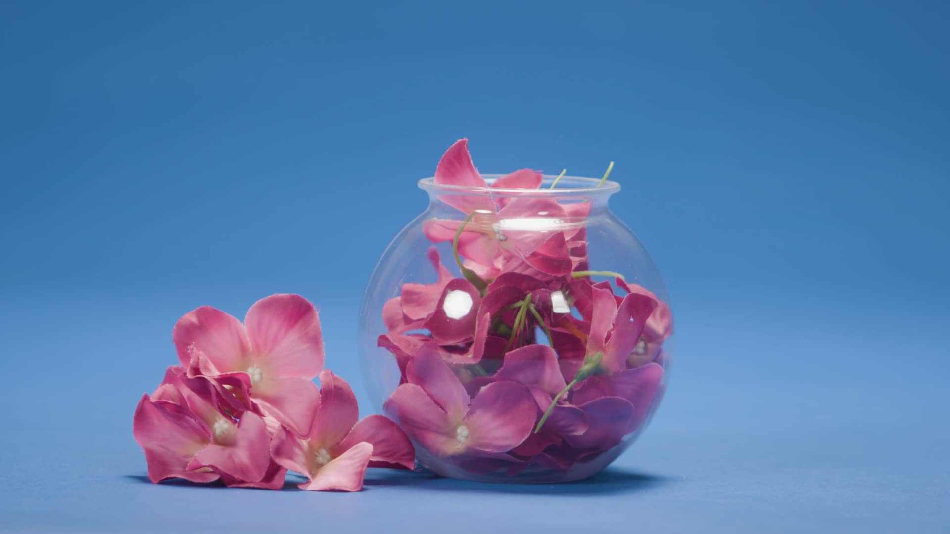 JoyServe 16 Oz Plastic Ivy Drink Bowls - 4 Inch, Unbreakable BPA-Free Heavy Duty Plastic Vases for Candy, Drinks, Carnival Games, Prizes, Centerpieces and Party Decoration Supplies