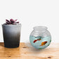 Plastic Ivy Bowls - 16 Oz Fish Bowl 4 Inch, Unbreakable BPA-Free Heavy Duty Plastic Fishbowl Vases for Candy, Carnival Games, Prizes, Centerpieces and Party Decoration Supplies, Pack of 12