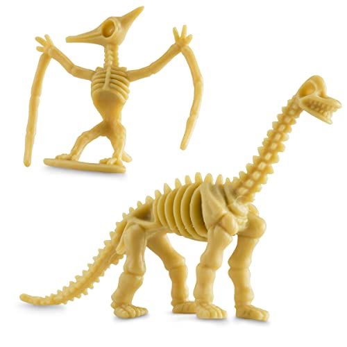 Bedwina Dinosaur Fossil Skeleton (24 Pieces) Assorted Figures Dino Bones, 3.7 Inch - for Science Play, Dino Sand Dig, Party Favor, Decorations and Stocking Stuffer